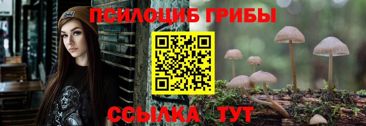 цена наркотик  Псилоцибиновые грибы мицелий  Вход с VPN  Москва 